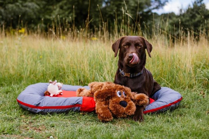 Produktbild Nobby Kissen Classic RENO (Hund)