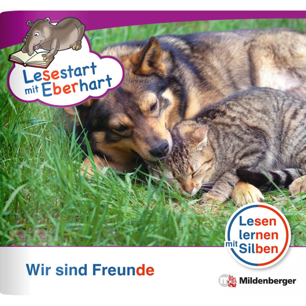 Lesestart mit Eberhart.LS4.07 Freunde, Schulbücher von Stefanie Drecktrah, Nicole Brandau