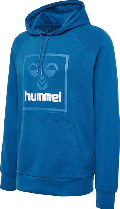 Actual product image hummel hmlISAM 2.0 HOODIE (L)