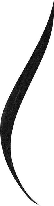 Actual product image Bourjois Feutre (11 Noir)