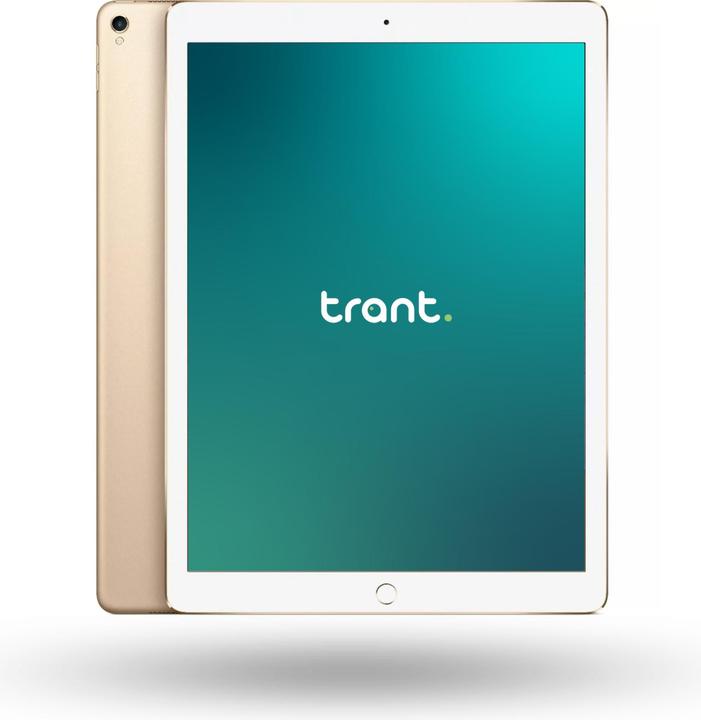 Trant.ch iPad Pro 10.5 (2017) Wi-Fi + Cellular (4G, 10.50", 256 GB, B / Sehr gut)