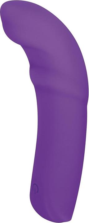Actual product image NMC 5 inch silicone 10 function vibrator purple