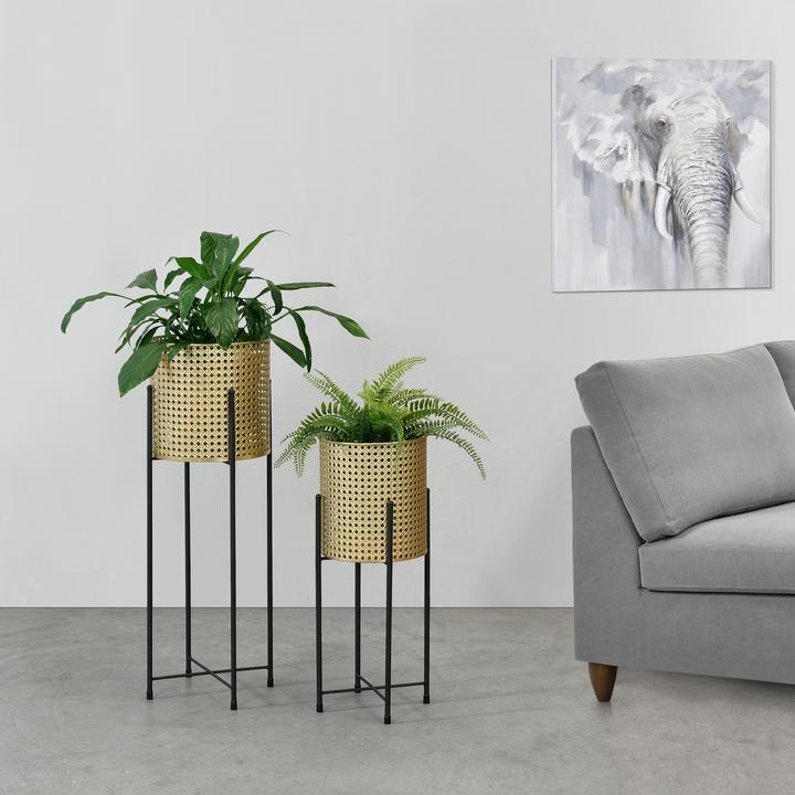 Image du produit En.Casa Mol