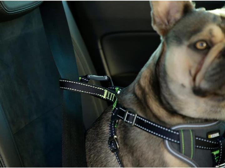 Produktbild Kerbl Autosicherheitsgeschirr (Hund, Reflektoren, Komplett zu öffnen)