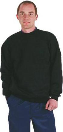 Immagine prodotto Dickies Ginocchiere SA66