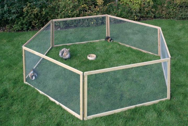 Actual product image Kerbl Vario outdoor enclosure