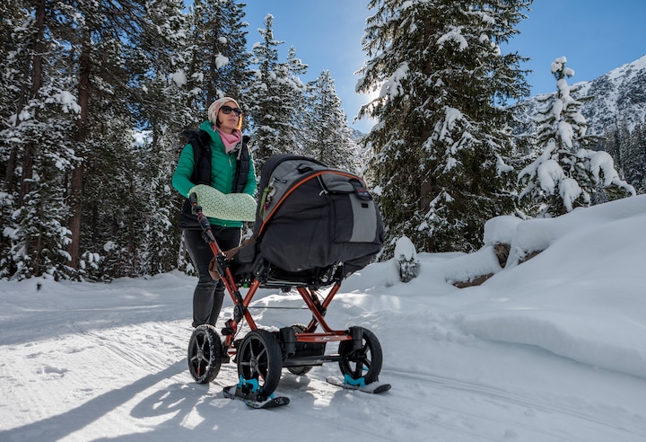 Actual product image Wheelblades XL Stroller Ski