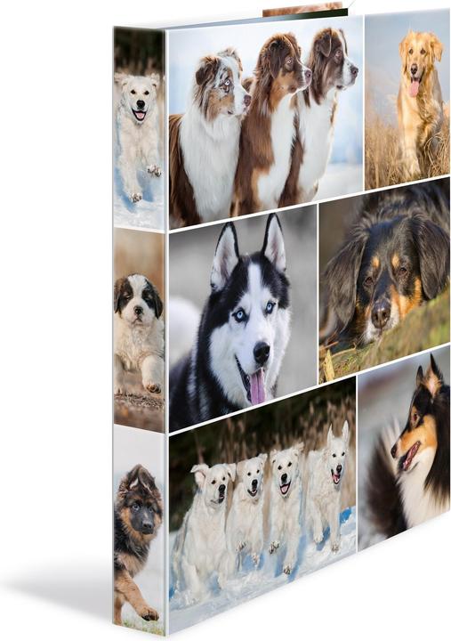 Actual product image HERMA A4 ring binder motif (A4, 35 mm, 1 pcs.)