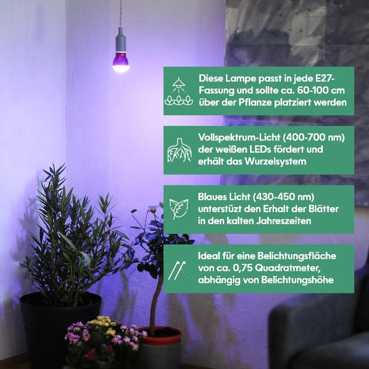 Actual product image Venso Grow Light Winter (LED, 245 V)