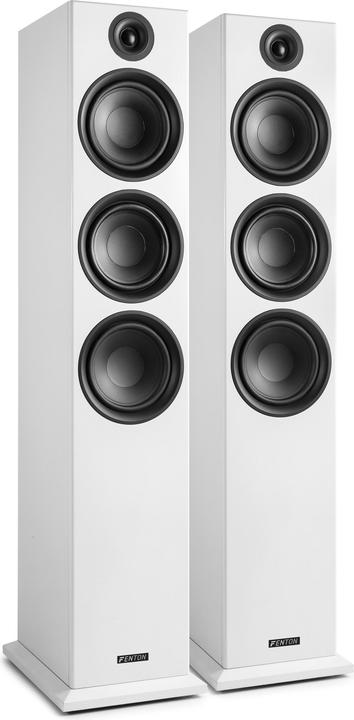 Immagine prodotto Fenton SHF80W (500 W)