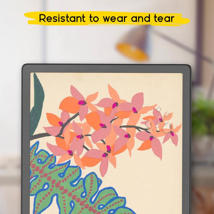 Actual product image Doodroo Ddbooxnot5