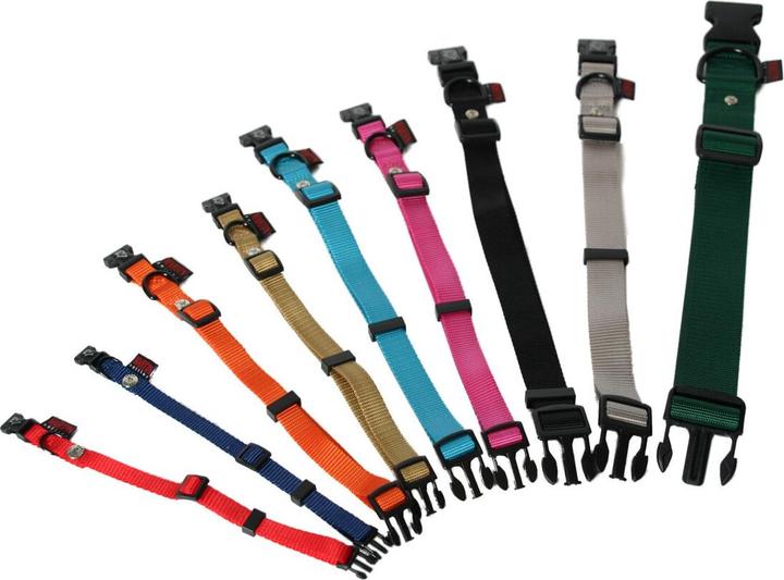 Produktbild Martin Halsband Verstelbaar Nylon Turquoise (S, Hund, Spazieren)