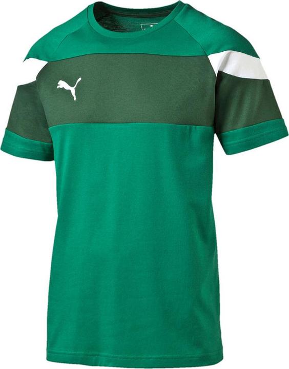 Puma Spirit Ii Leisure T-Shirt (S)