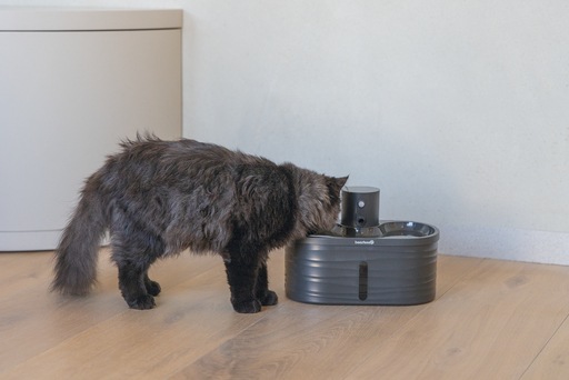 Actual product image Beeztees Trinkwasserbrunnen Sef Katze (2.50 l)