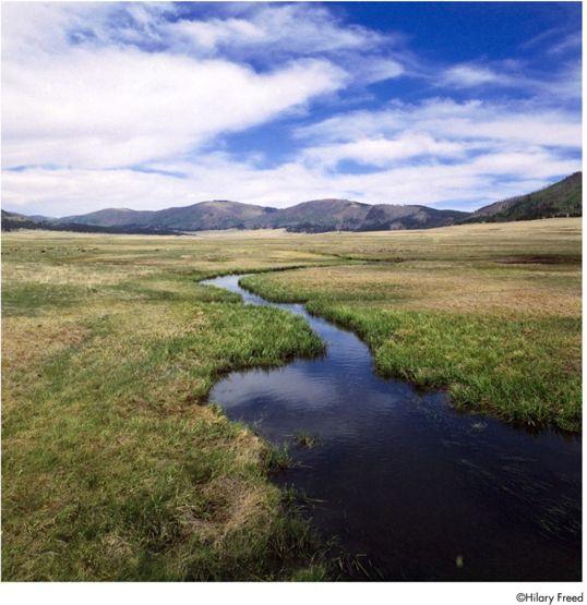 Produktbild Harman Photo PHOENIX II 200 120