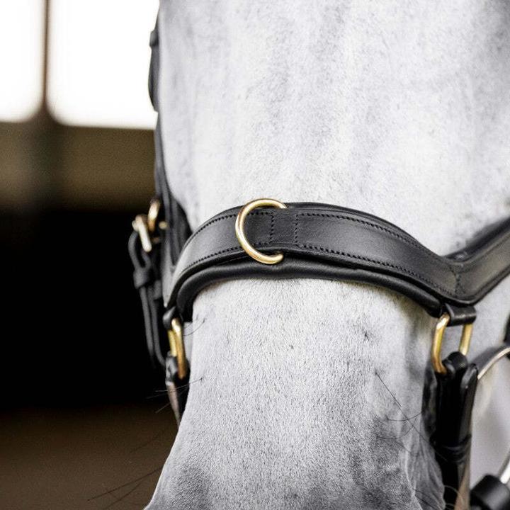 Image du produit Horseware Micklem Multi