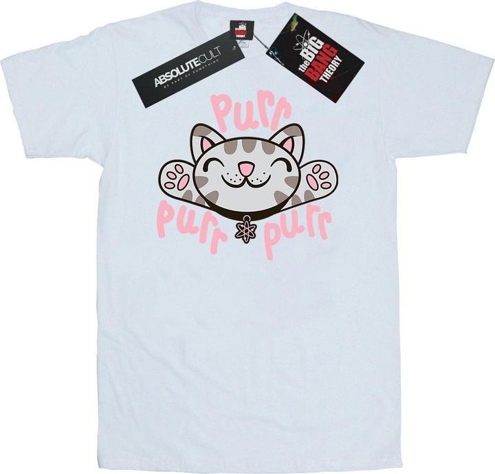 Actual product image Big Bang Theory Mens Soft Kitty Purr T-Shirt (M)