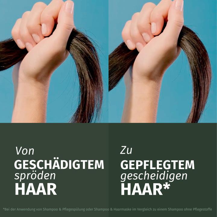 Produktbild Herbal Essences Repair mit Arganöl (300 ml)