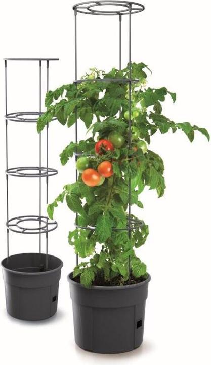 Actual product image Prosperplast Tomato grower IPOM300 tomato pot (29.50 x 61 cm)