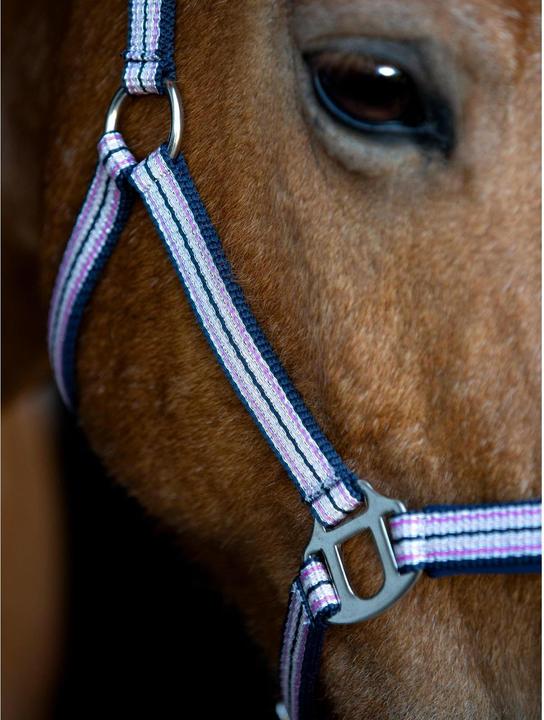 Immagine prodotto Horse Guard Mascha