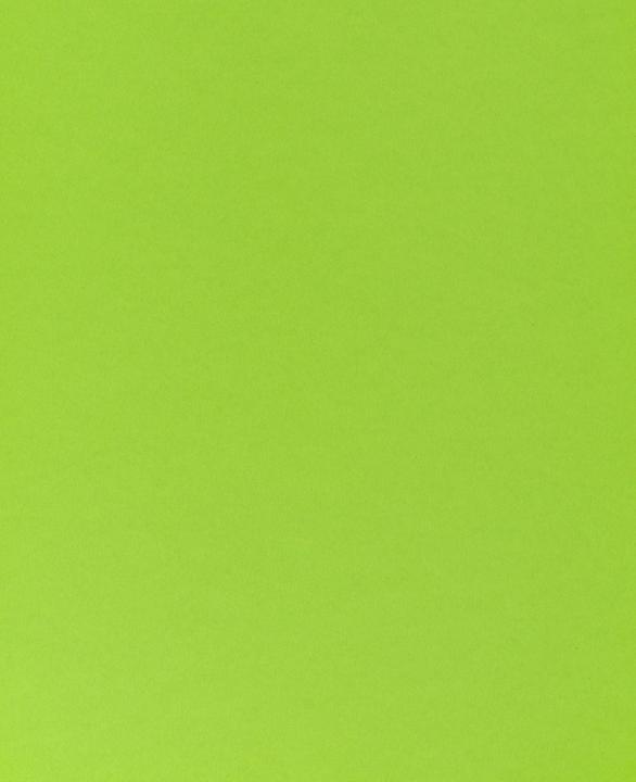 Actual product image Photo cardboard A4, grass green (270 g/m², 1 x)