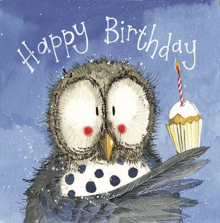 Alex Clark Art Geburtstagskarte AC762 Eule und Cupcake