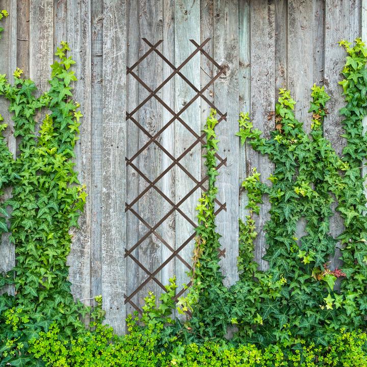 Image du produit Relaxdays 3x treillis (1 cm, 60 cm)