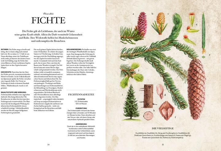 Produktbild Die Natur-Apotheke (Deutsch, Miriam Wiegele, 2018)