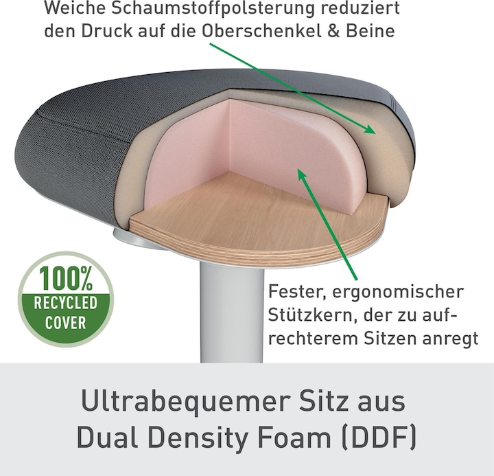 Produktbild Leitz Ergo Active