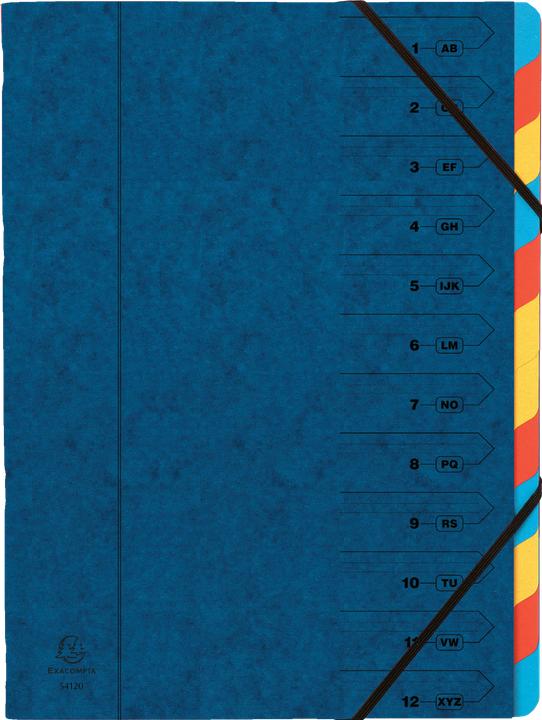 Actual product image Exacompta Folder (A4, 1x)