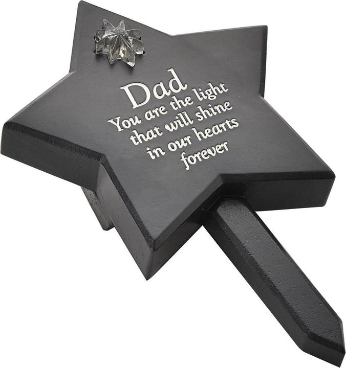 Actual product image Mars Memorial Solar Light Up Star Plaque - Dad