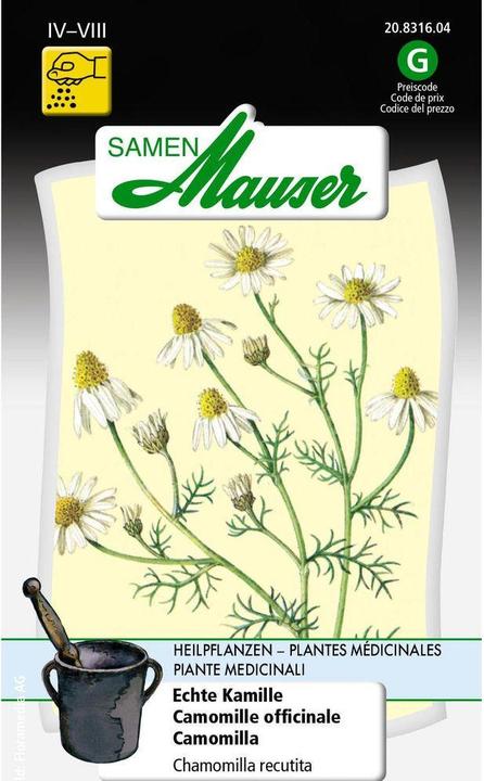 Produktbild Samen Mauser Echte Kamille (Pflanzensamen)
