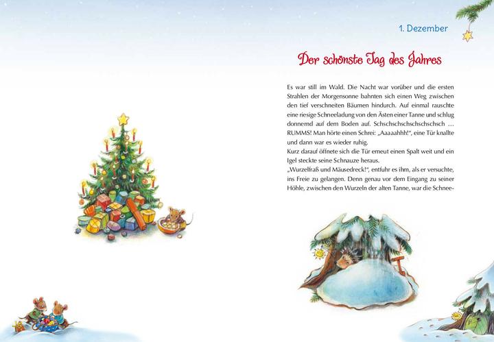 Immagine prodotto Il miglior Natale del riccio