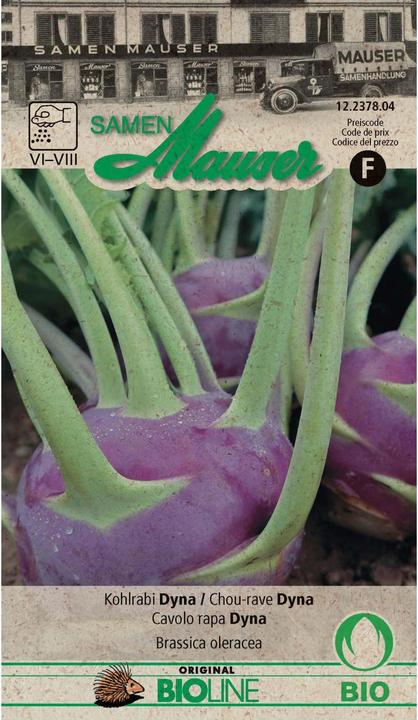Produktbild Samen Mauser Kohlrabi Dyna (Gemüsesamen)