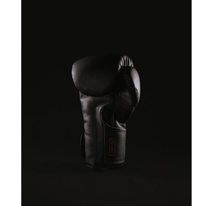 Image du produit MetalBoxe Gants de Boxe Entrainement Starter (10 OZ, 10)