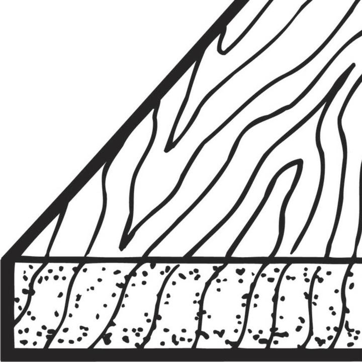 Produktbild wolfcraft 1 Kreissägeblatt HM, 20 Zähne ø160mm