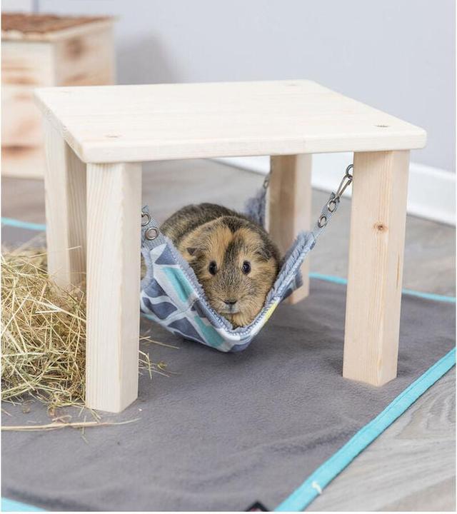 Actual product image Trixie Shelter with hammock Sunny