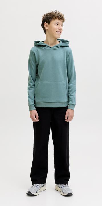 Produktbild Jack & Jones Jjebradley Sweat Hood Noos Jnr (128)