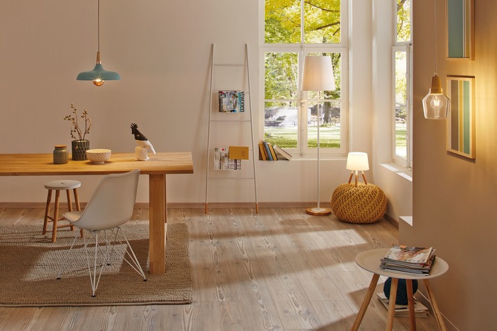 Image du produit Paulmann Neordic Juna (E14)