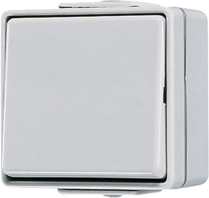 Actual product image JUNG rocker switch