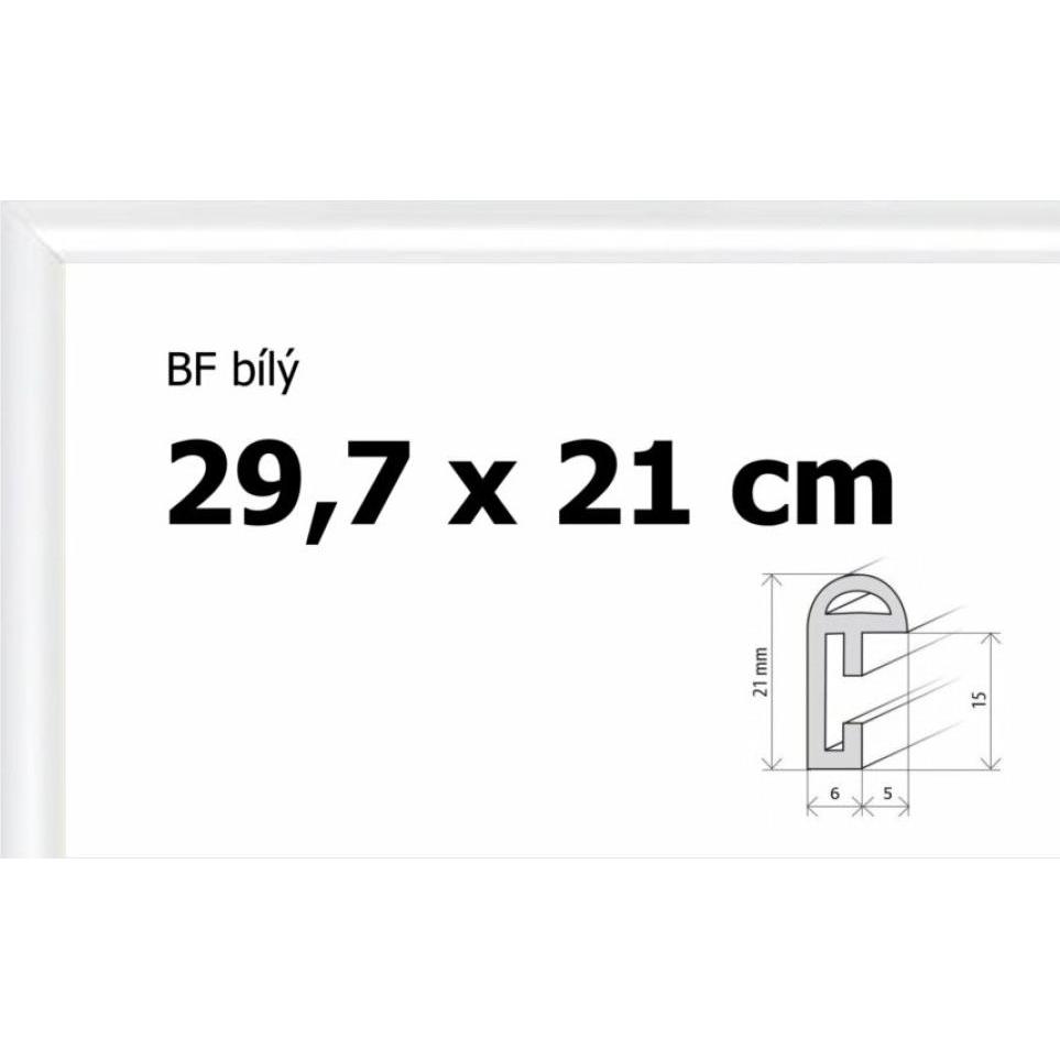 Bfhm Kunststoffrahmen 29,7x21cm A4 - weiss