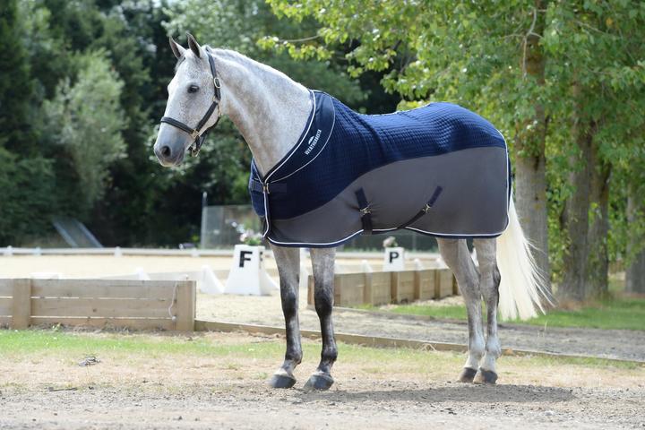 Image du produit Weatherbeeta Thermo-air (155 cm)