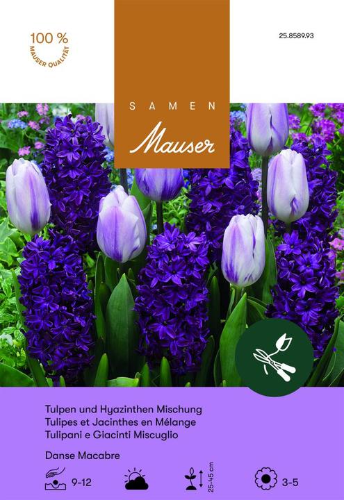 Produktbild Samen Mauser Danse Macabre Mischung (Blumenzwiebeln)