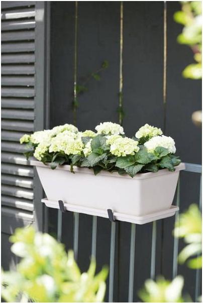 Actual product image Elho Barcelona