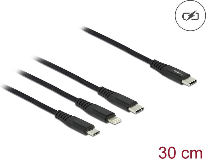 Productafbeelding Delock 3in1 (0.30 m, USB 2.0)