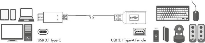 Actual product image LogiLink CU0098 (0.15 m, USB 3.1, 36 W)