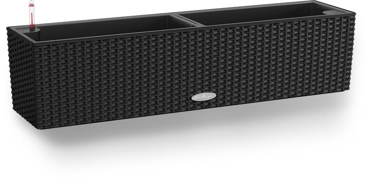 Actual product image Lechuza Balconera (79 x 79 x 19 cm)