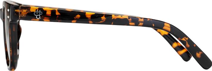 Actual product image CHPO Gate X