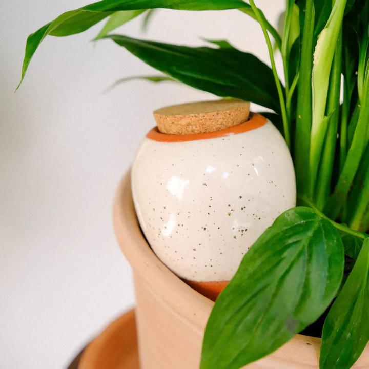 Image du produit Pepin Olla (Cône d'argile)