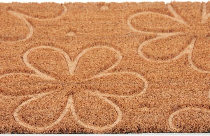 Immagine prodotto Relaxdays zerbino (40 x 60 cm)